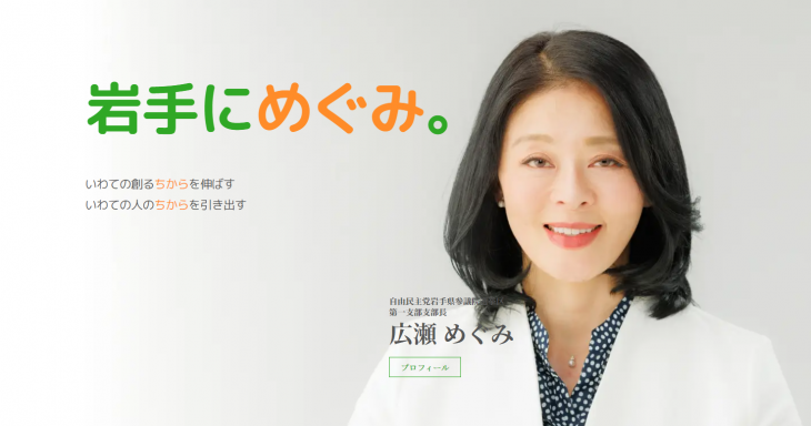 히로세 메구미 참의원