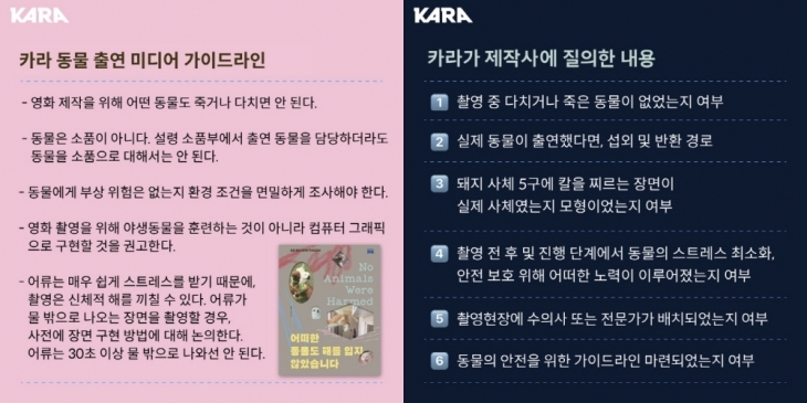 카라 제공