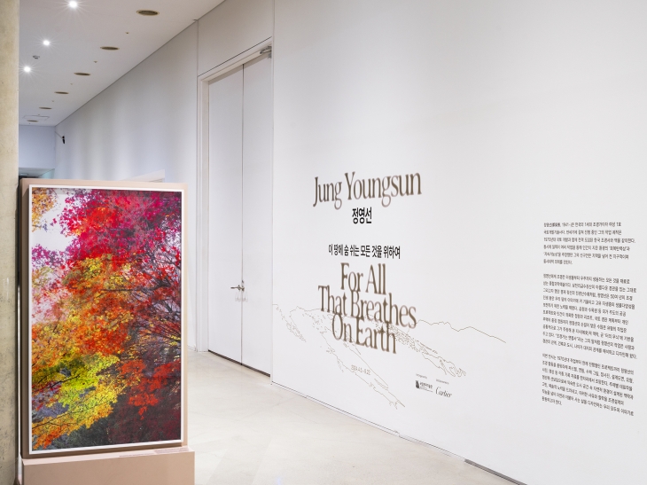 전시장 초입에서 볼 수 있는 정지현 작가의 사진 작품 ‘드라이 마운트’. 실크스크린, UV 프린트, 은색 물감 등 여러 기법을 이용한 조경의 계절 변화를 감상할 수 있다. 정지현 제공