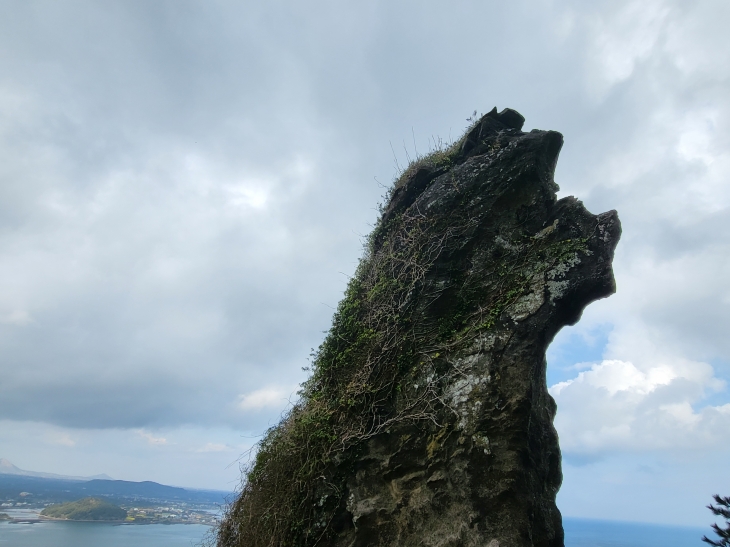 성산일출봉. 제주 강동삼 기자
