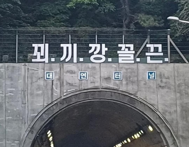 부산 도시고속도로 대연터널 위에 설치된 ‘꾀·끼·깡·꼴·끈’ 문구. 인터넷 커뮤니티 캡쳐