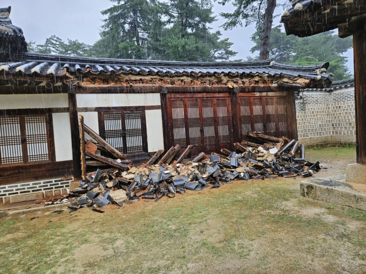 사적 ‘남양주 홍릉과 유릉’ 피해 모습 사적 ‘남양주 홍릉과 유릉’ 피해 모습