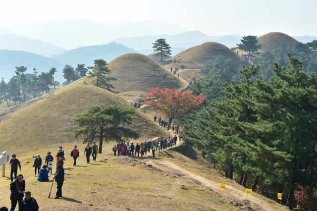 세계유산인 경북 고령군 지산동 고분군 전경. 고령군은 오는 23일부터 다음달 6일까지 지산동 고분군 일원에서 ‘2024 세계유산축전’ 을 마련한다. 고령군 제공