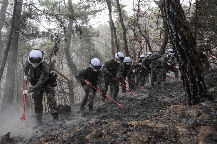 지난 29일 경북 지역 산불진화 지원작전 중인 육군 50사단 장병들이 잔불 여부를 면밀히 살피고 있다. 2025.3.30. 육군 제공