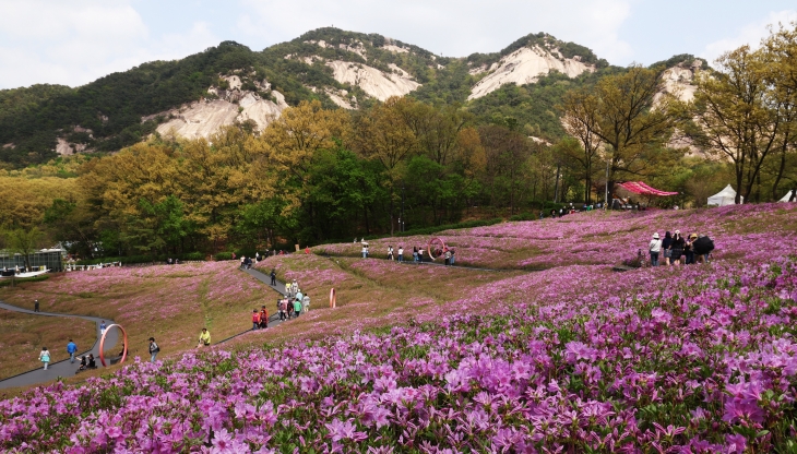 지난 23일 서울 노원구 불암산 힐링타운 철쭉동산. 노원구 제공