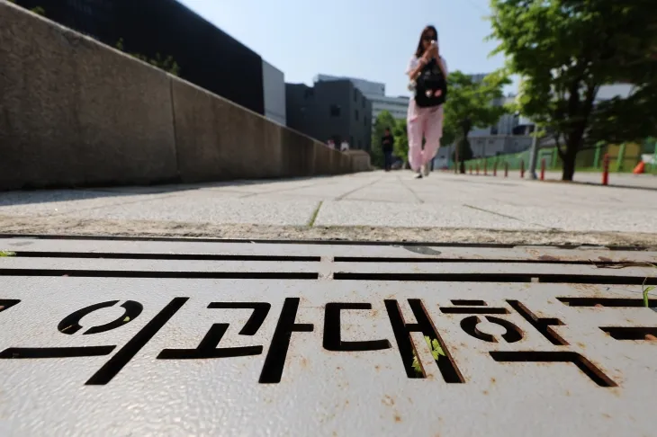 사진은 12일 서울 시내 의과대학의 모습. 뉴스1 사진은 12일 서울 시내 의과대학의 모습. 뉴스1