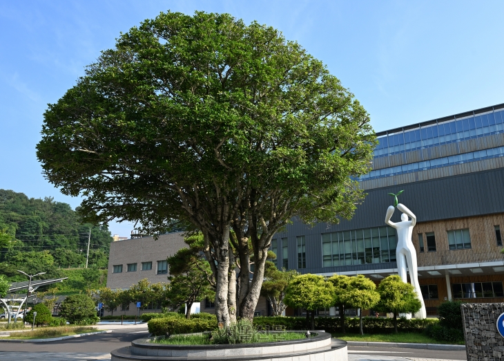 수많은 명사들이 스쳐 간 국립마산병원.