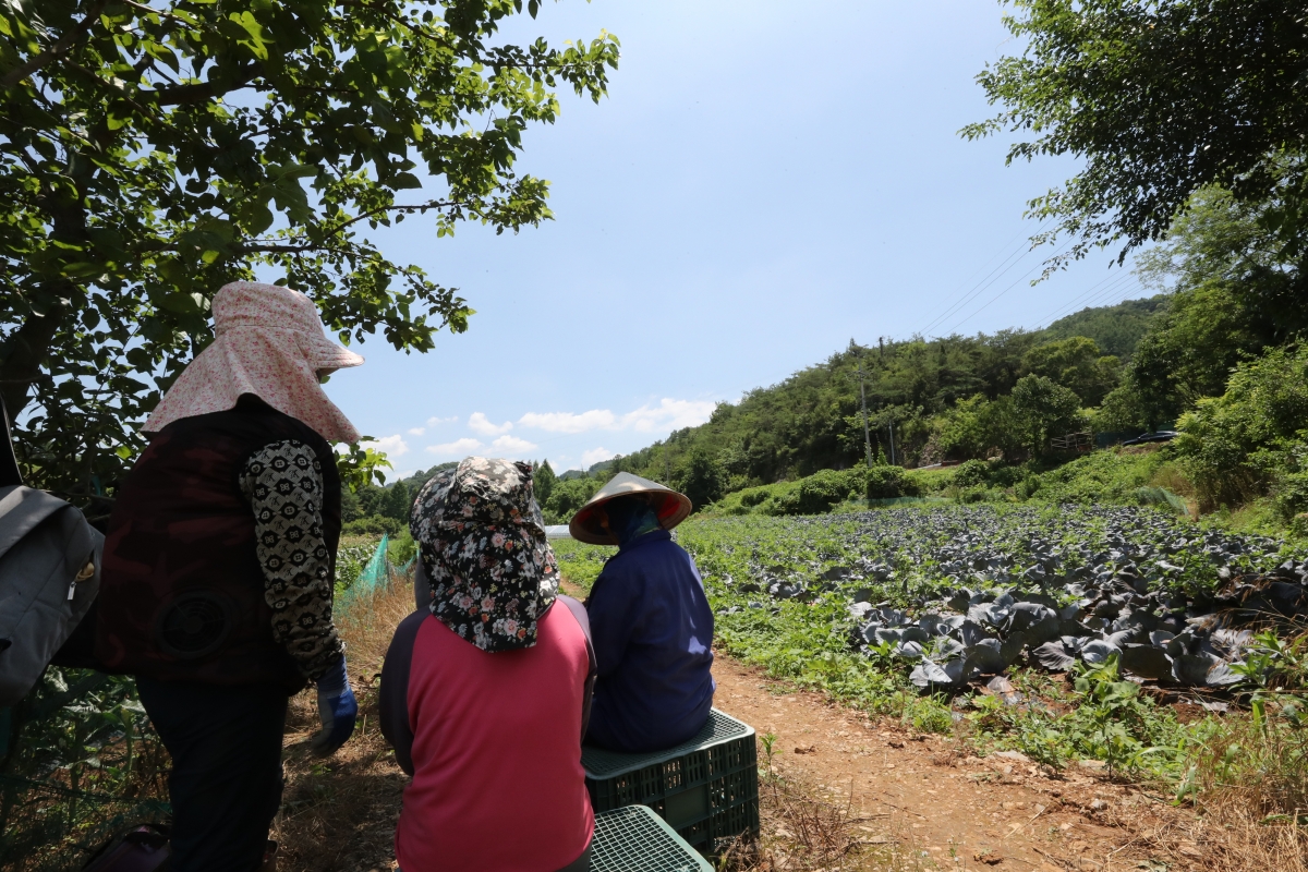 찜통더위 속 휴식