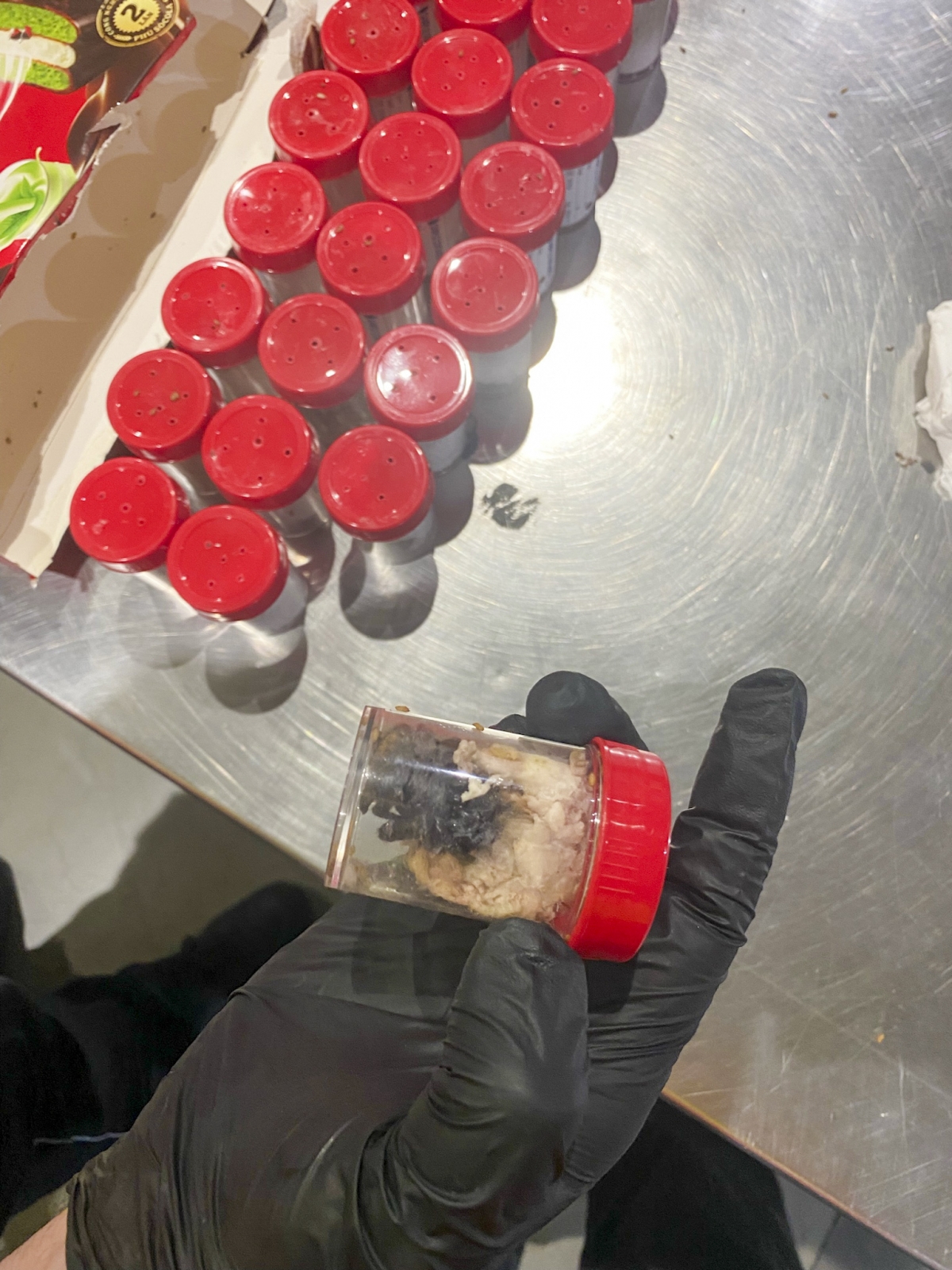 독일 쾰른 중앙관세청은 최근 쾰른·본 국제공항에서 베트남에서 온 화물을 검사하던 중 초콜릿 스펀지 케이크 상자 속에 숨겨진 새끼 타란툴라 약 1500마리를 적발했다. 2025.6.18 쾰른 중앙관세청 제공 AP 연합뉴스